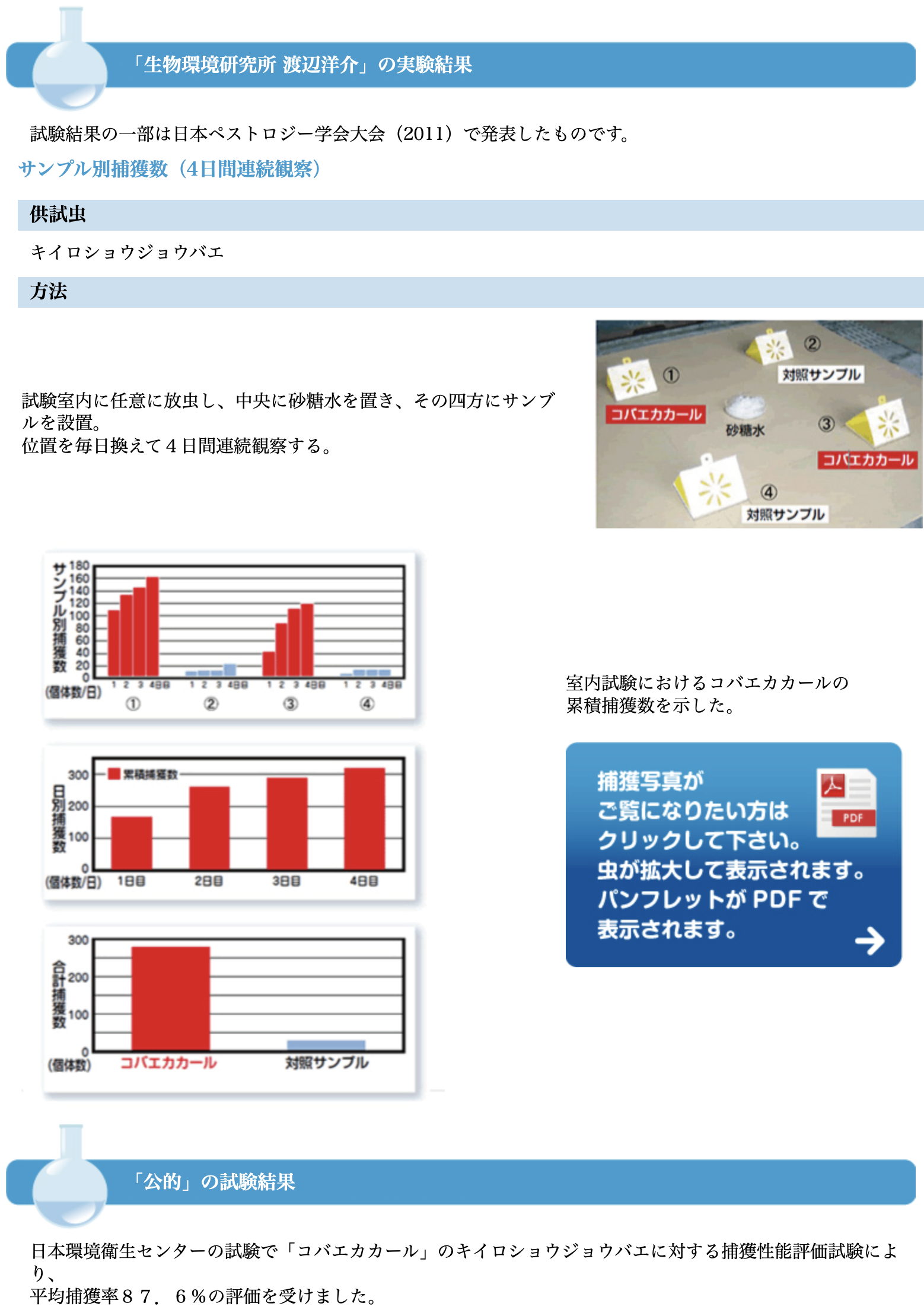 実験結果